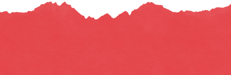 Torn Paper Texture Overlay