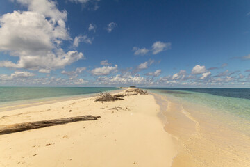 Fototapeta premium white sand beach in beautiful island, san andres colombia 