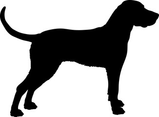 Redbone Coonhound Dog silhouette dog breeds logo dog monogram logo dog face vector
SVG PNG EPS