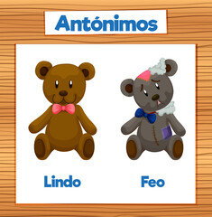 Lindo and Feo: Antonym Word Card in Spanish means nice and ugly