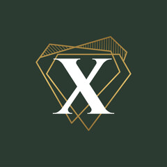 Diamond Letter X and jewelry logo design vector