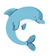 Dekokissen Dolphin smart underwater mammal, aquatic fauna © Sonulkaster