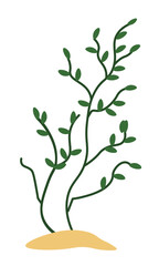 Aquarium seaweed and flowers bushes on seabottom