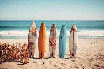 Surfboards seen standing in a row