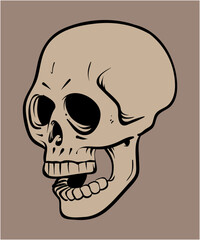 Skull