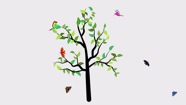 cartoon pheasant, tree grass sun and butterflies rainbow animation