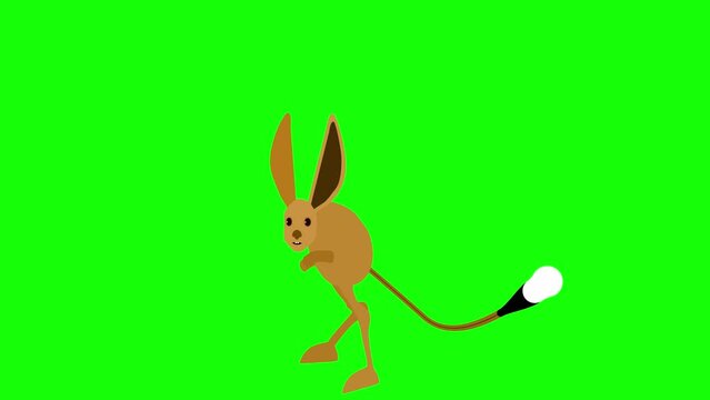 Animation of a jumping and walking jerboa on a green background