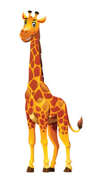 Giraffe cartoon illustration isolated on white background