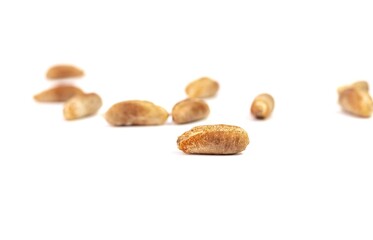 Closeup of Phoenix Dactylifera Seed or Date Palm Seeds Isolated on White Background with Copy Space