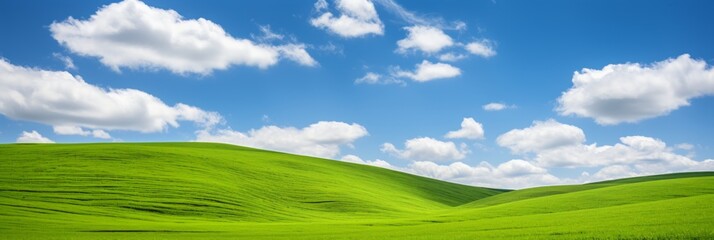 Breathtaking view of vast green fields under serene blue sky with fluffy white clouds