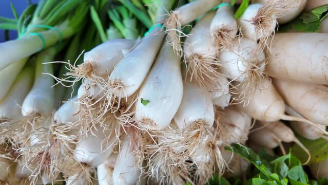 Fresh spring onions and white daikon radishes from the local farm for sale at an organic farmers market, healthy bio greens, 4K shot