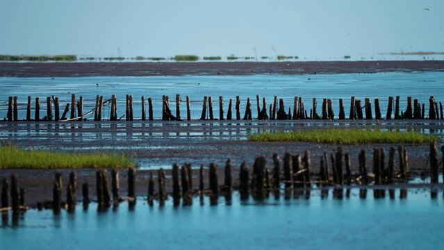 A gloomy coastal landscape. Patches of grass on the boggy shore. parallax video.