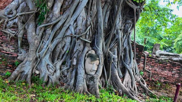 Wat Mahathat is one of the important temples of Ayutthaya..The point where you have to stop and take photos is The Buddha's head .in the tree here is unseen Thailand, meaning it looks strange.