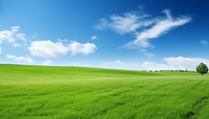 Fototapeta na wymiar Expansive landscape with lush green fields, fresh grass, and serene blue sky with fluffy clouds