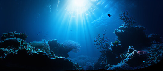 海底に差し込む光 - obrazy, fototapety, plakaty