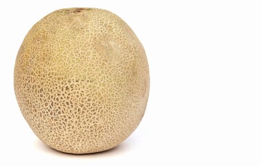 Cantaloupe or Muskmelon Isolated on White Background with Copy Space