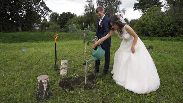 Young newlywed couple take care of oak tree with watering can as a tradition