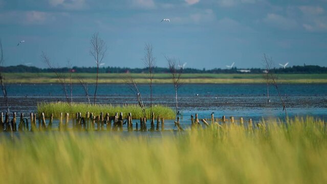 The tranquil landscape of coastal Denmark on a sunny summer day.