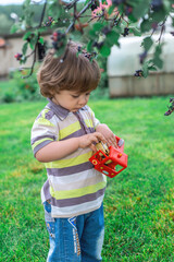 little boy in the summer garden