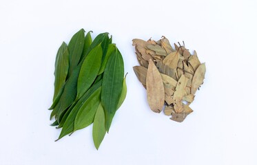 Top View of Raw and Dried Bay Leaf or Tejpatta on White Background, Also Known as Malabar Leaf or...