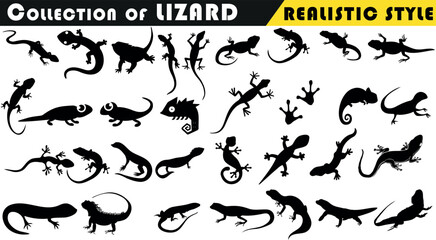 Lizard vector illustration collection, realistic style. Black silhouettes of diverse lizard species Include gecko, iguana, chameleon, monitor, skink, anole, salamander, newt, komodo dragon