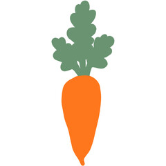 carrot doodle illustration