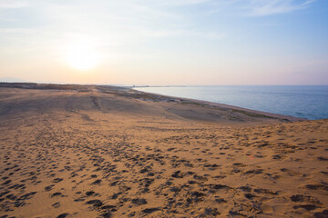 秋の鳥取砂丘の夕景 鳥取県 鳥取砂丘