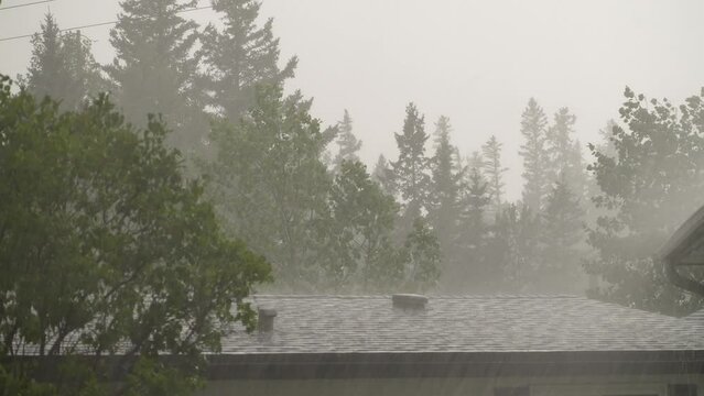 Hail and rain storm on rooftop of house with trees in background. Medium shot