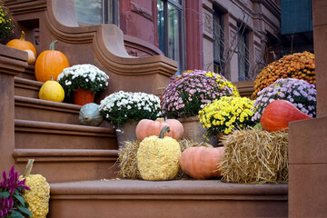 colorful outdoor autumn display with flowers and pumpkins for halloween and thanksgiving holidays...