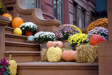 colorful outdoor autumn display with flowers and pumpkins for halloween and thanksgiving holidays at home on front porch steps