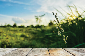 Wooden floor, table with rice field view, blue sky atmosphere.