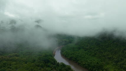 Aerial view of fog cloud dark green forest mountains and rivers, rich natural ecosystems of mountain forests. Concept of conservation of natural forests