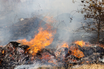 steppe fires during severe drought completely destroy fields. Disaster causes regular damage to environment and economy of region. The fire threatens residential buildings. Residents extinguish fire