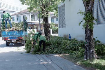 A worker uses a brush collection truck to pick up of debris from a tree that was cut down