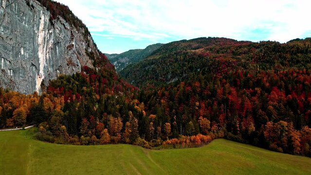 Aerial view rising over a field and fall colored forest in the mountains in Austria