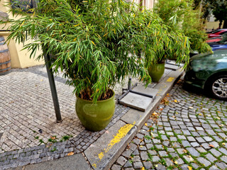 there is on-street parking with a paved stone courtyard. green glazed ceramic flowerpots planted with bamboos look luxurious