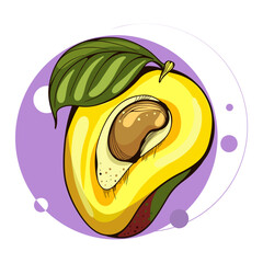 Mango delicious fruit vector design. Half mango fruit isolated.