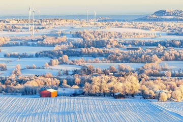 Foto op Aluminium Snow and frost in a cold winter in the country © Lars Johansson