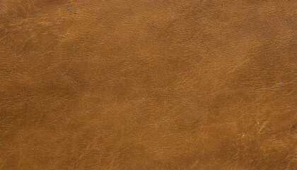 Brown Fine Leather Textured Background