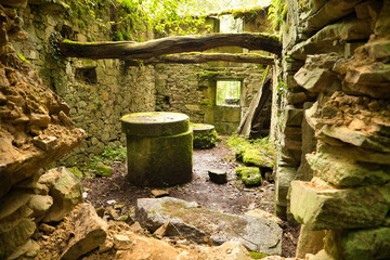 Fototapeta premium Old construction used as an abandoned mill and covered by the green vegetation of the place. Concept landscape, water, forest, vegetation, humidity.