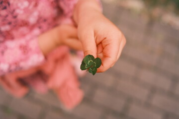 Kleines Kind hält ein vierblättriges Kleeblatt in der Hand. Glücksbringer