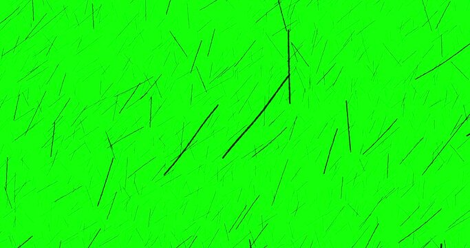 Few lines animation random sketch black green screen. Cartoon greenbox overlay isolated doodle grunge crazy scratches, animation good  for any vido material 4K.
