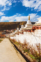 Natural beauty of temples, grasslands in Xizang Autonomous Region of China