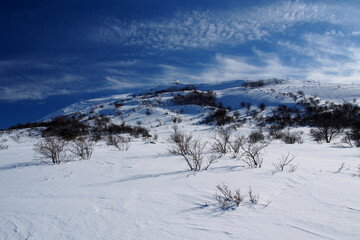 雪の車山高原