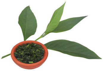 Ayurvedic Vasica leaves