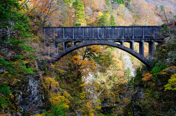 A cement bridge connecting mountains in a forest with trees changing colors in autumn.