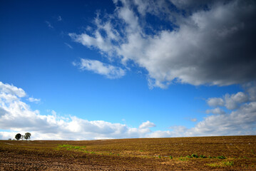 北海道・彩の大地