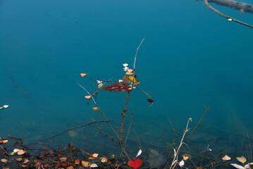 静寂の世界　コバルトブルーの湖面に浮かぶ枯葉