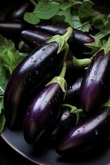 Eggplant harvest: assortment of locally grown fresh Globe eggplants at the farmer's market