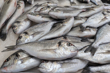 Seafood at the fish market in Split, Croatia